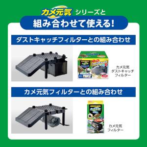 GEX カメ元気 カメの島ロフトタイプの詳細画像4
