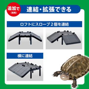 GEX カメ元気 カメの島ロフトタイプの詳細画像5