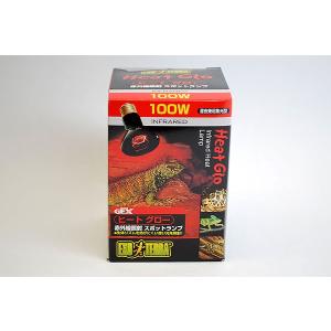 ＧＥＸ　エキゾテラ　ヒートグロー　１００Ｗ