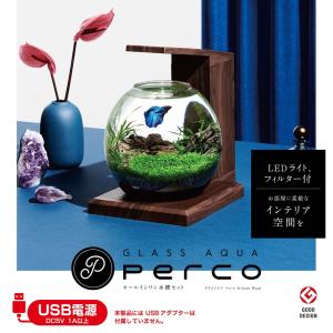 GEX グラスアクア ペルコ PERCO B-...の詳細画像1