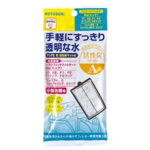 スドー CO2レギュレーター RG-S タイプB2 コンプ 水草育成