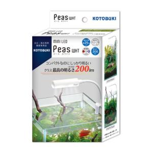 カミハタ ファンネル2 150W 8000k 交換球 : アクアクラフト - 通販