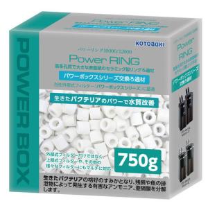 ガラス製リングろ材15mm ろ過リング 業務用15kg(約30リットル