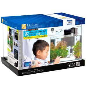 ニッソー 在庫処分 ニッソー テーブルアクア フラットポットSセット