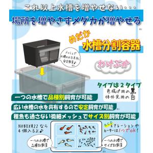 ミプラス わけぷか 白 めだか水槽分割容器 熱...の詳細画像1