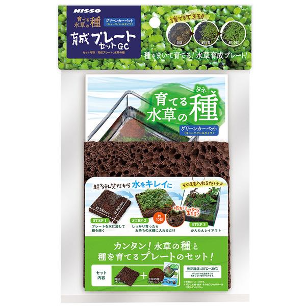 ニッソー　育てる水草の種・育成プレートセットＧＣ(クリーンカーペット)