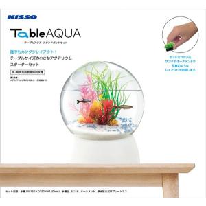 水作 限定仕様 水作エイトコアS クリアオレンジ セラミック
