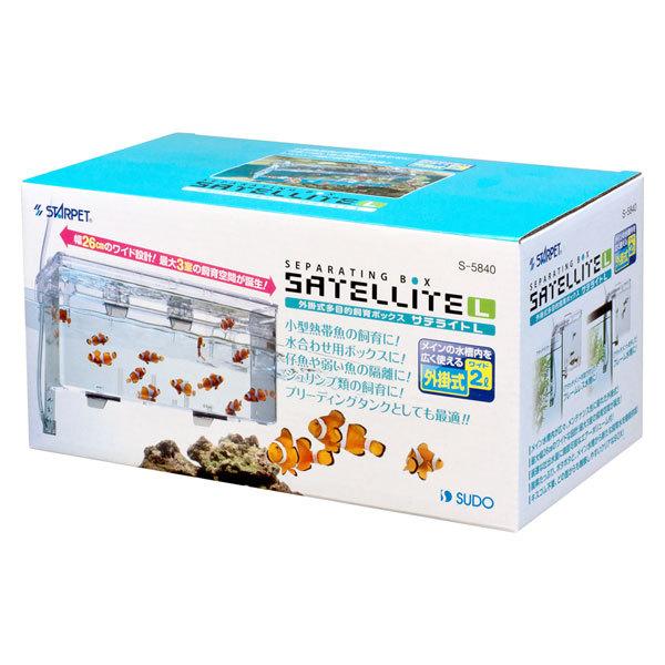 スドー　サテライト　Ｌ　熱帯魚・アクアリウム/産卵箱・飼育ケース