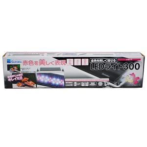 ボルクスジャパン グラッシーレグナ マリン 90 北海道・沖縄・離島