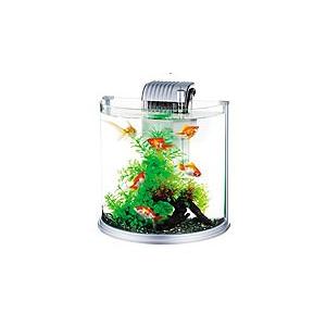 トロピカルワールド ヤフー店 小型水槽セット 水槽セット Yahoo ショッピング