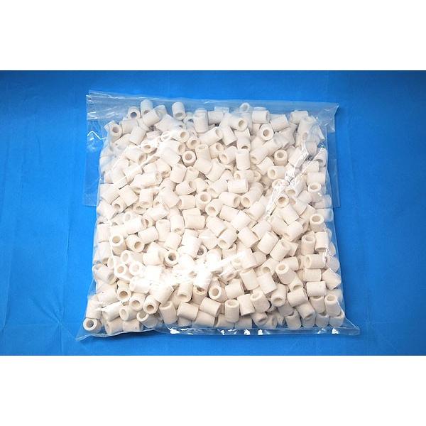 ろ過リング・１５mm　２kg（約４リットル)　熱帯魚・アクアリウム/フィルター・エアレーション器具/...