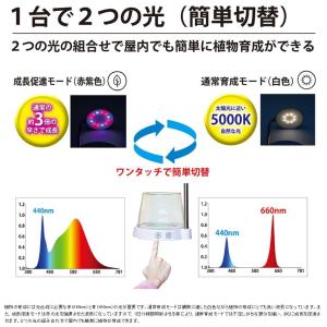 訳あり・処分特価 ゼンスイ 飼育容器付き多目的...の詳細画像1