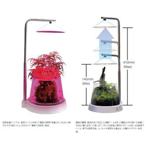 訳あり・処分特価 ゼンスイ 飼育容器付き多目的...の詳細画像2