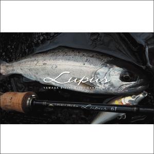 エバーグリーン ソルティーセンセーション スペリオル SPRS-66SUL-S