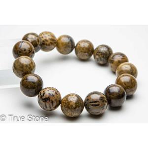 原生林 珪化木 木化石 ブレスレット 14.6mm-14.9mm 化石