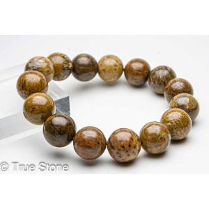 原生林 珪化木 木化石 ブレスレット 14.6mm-14.9mm 化石