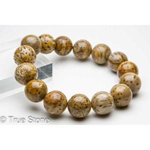 原生林 珪化木 木化石 ブレスレット 14.6mm-14.9mm 化石