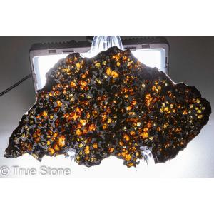 パラサイト隕石 原石 スライス 239.9g ...の詳細画像2