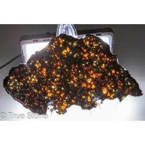 パラサイト隕石 原石 スライス 239.9g ...の詳細画像3