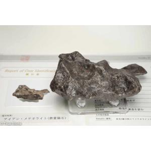 鑑別書付き カンポデルシエロ隕石 メテオライト ...の商品画像