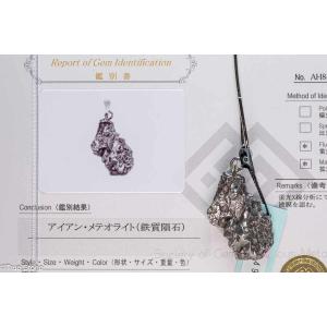 メテオライト 原石 ギベオン隕石 鉄隕石 約41.2g 天然石