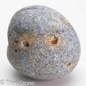 デンマーク産 バイキングボール 68g 白亜紀 生物化石 採掘不可 生物の証 お守り｜true-stone