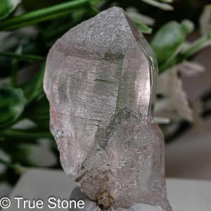 希少 グリーン アポフィライト クラスター 魚眼石 210g 天使の水晶