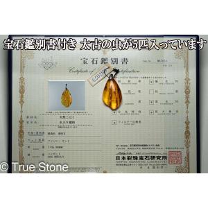 スーパーハニカムグレース ビッグ ウェルネス ニュージー νG