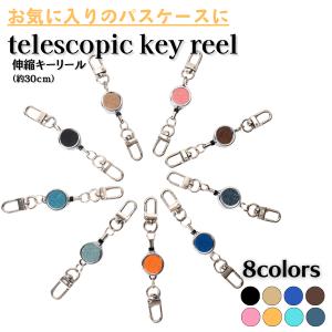 キーリール リールキーホルダー パスケース リール付き 定期入れ キーケース リールストラップ カラビナ