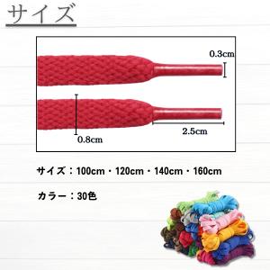 靴紐 おしゃれ 平紐 シューレース スニーカー...の詳細画像5