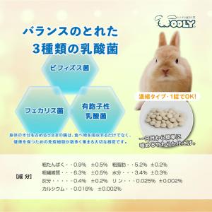 ウーリー うさぎのやわらか乳酸菌 150錠 う...の詳細画像3