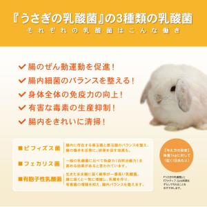 ウーリー うさぎのやわらか乳酸菌 150錠 う...の詳細画像2
