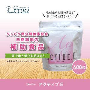ウーリー アクティブE 400粒 うさぎ サプ...の詳細画像1