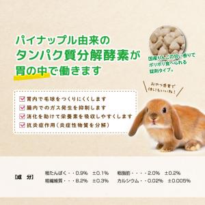 ウーリー アクティブE 400粒 うさぎ サプ...の詳細画像3