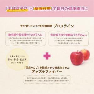 ウーリー アクティブE 400粒 うさぎ サプ...の詳細画像2