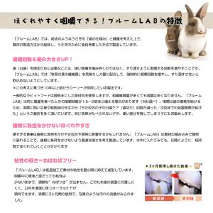 ウーリー【LM】 ブルームラボ シニア ※5歳...の詳細画像3