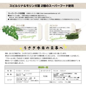 ウーリー【LM】 ブルームラボ シニア ※5歳...の詳細画像4