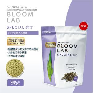 ウーリー【LM】 ブルームラボ スペシャル 8...の詳細画像2