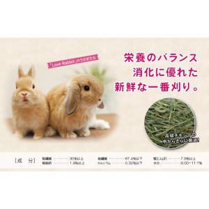 【日付指定不可】チモシー1番刈り 【the F...の詳細画像2