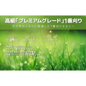 【日付指定不可】チモシー1番刈り 【the F...の詳細画像3