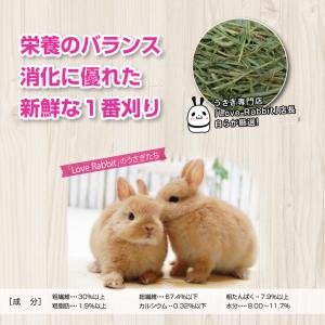 【日付指定不可】特選チモシー1番刈り 【the...の詳細画像3