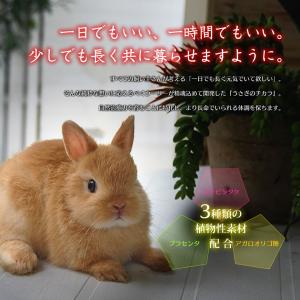 ウーリー うさぎのチカラ 120錠(1包12錠...の詳細画像1