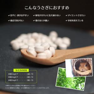 ウーリー うさぎのチカラ 120錠(1包12錠...の詳細画像2