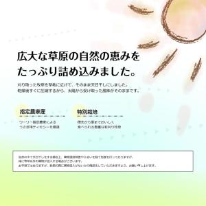 ウーリーのUSA牧草「ティモシー1番刈り」60...の詳細画像2