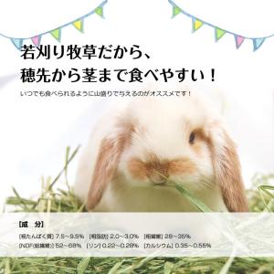ウーリーのUSA牧草「ティモシー1番刈り」60...の詳細画像3