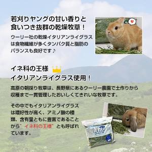 ウーリー 高原の朝採り牧草「イタリアンライグラ...の詳細画像2