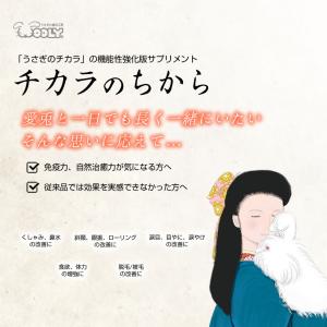 ウーリー 【Q10】 チカラのちから 80錠(...の詳細画像1