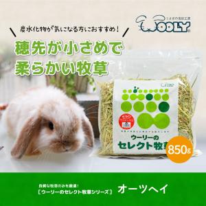 ウーリーのセレクト牧草「オーツヘイ」850g ...の詳細画像2
