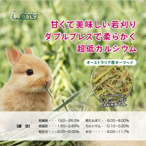 ウーリーのセレクト牧草「オーツヘイ」850g ...の詳細画像4