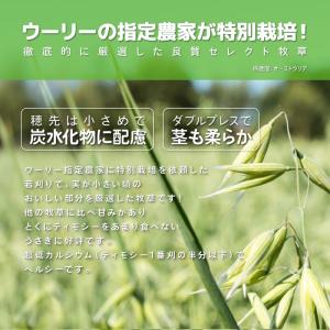 ウーリーのセレクト牧草「オーツヘイ」850g ...の詳細画像3